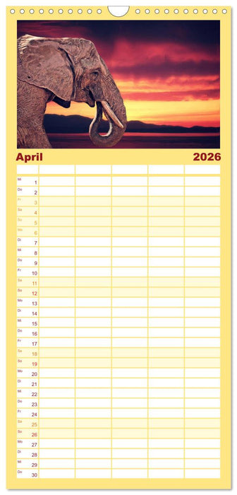 Elefanten - Portraits der besonderen Art (CALVENDO Familienplaner 2026)