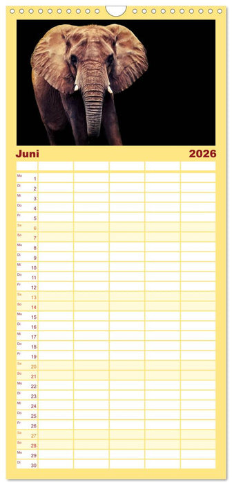 Elefanten - Portraits der besonderen Art (CALVENDO Familienplaner 2026)