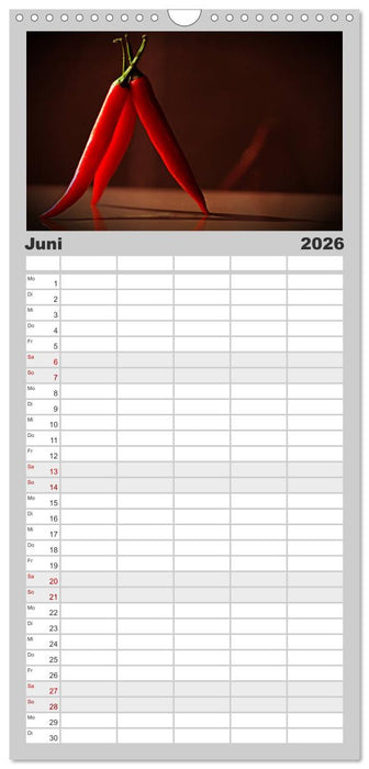 Hot Chili Küchen Kalender (CALVENDO Familienplaner 2026)