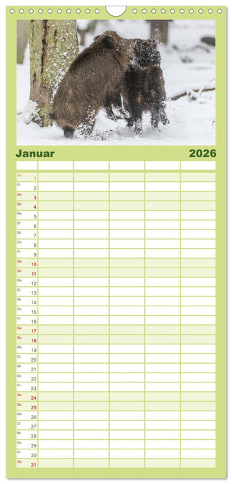 Emotionale Momente: Wild und Jagd. (CALVENDO Familienplaner 2026)