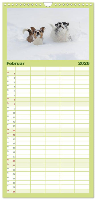 Emotionale Momente: Wild und Jagd. (CALVENDO Familienplaner 2026)