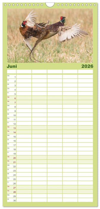 Emotionale Momente: Wild und Jagd. (CALVENDO Familienplaner 2026)