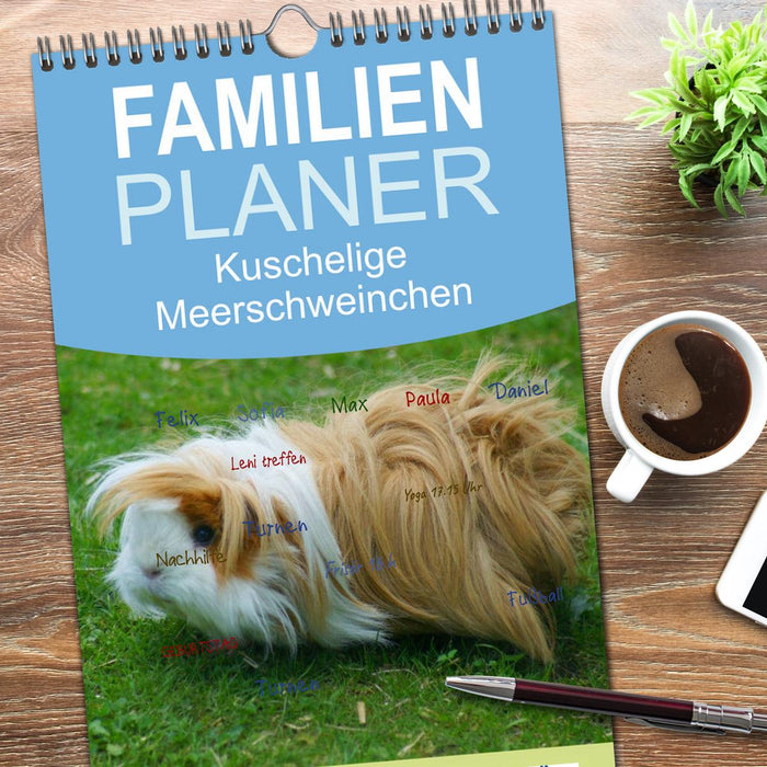 Kuschelige Meerschweinchen (CALVENDO Familienplaner 2026)