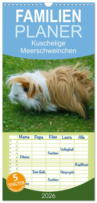 Kuschelige Meerschweinchen (CALVENDO Familienplaner 2026)