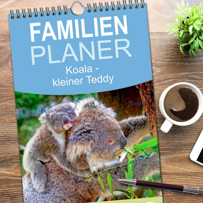 Koala - kleiner Teddy (CALVENDO Familienplaner 2026)