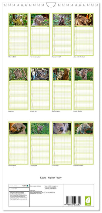 Koala - kleiner Teddy (CALVENDO Familienplaner 2026)