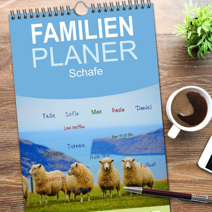 Schafe (CALVENDO Familienplaner 2026)