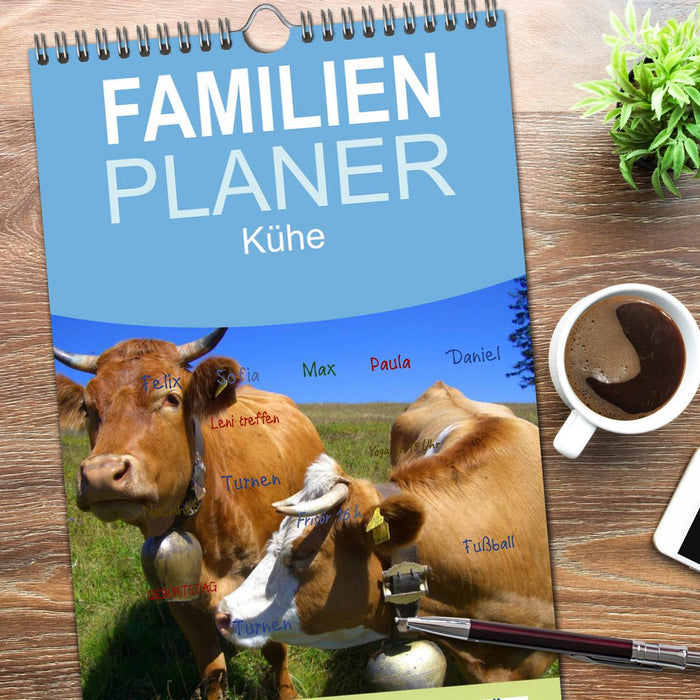 Kühe (CALVENDO Familienplaner 2026)