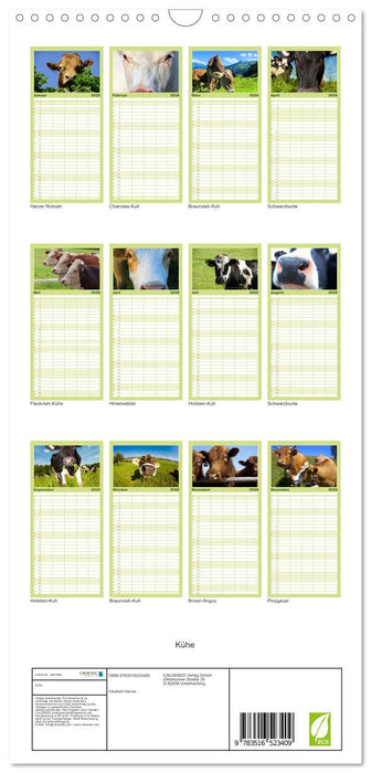 Kühe (CALVENDO Familienplaner 2026)