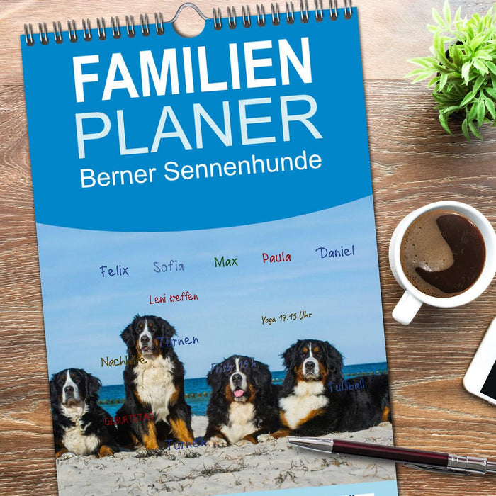Berner Sennenhund 2026 (CALVENDO Familienplaner 2026)