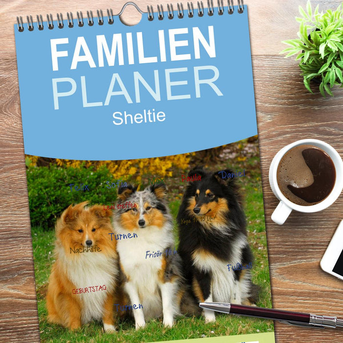 Sheltie 2026 (CALVENDO Familienplaner 2026)