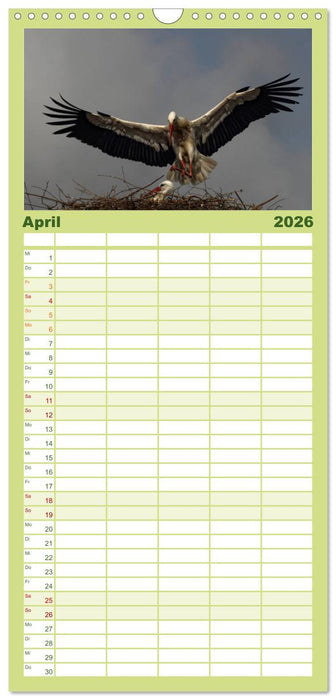 St. Peter-Ording (CALVENDO Familienplaner 2026)