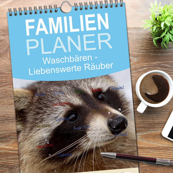 Waschbären (CALVENDO Familienplaner 2026)