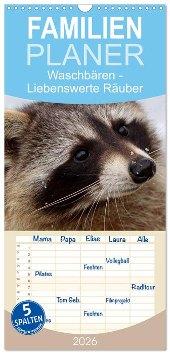 Waschbären (CALVENDO Familienplaner 2026)
