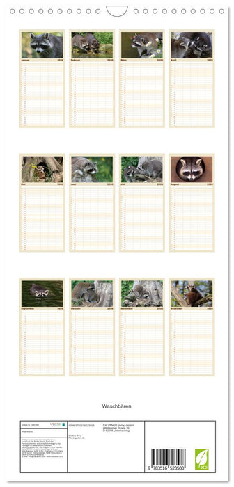 Waschbären (CALVENDO Familienplaner 2026)