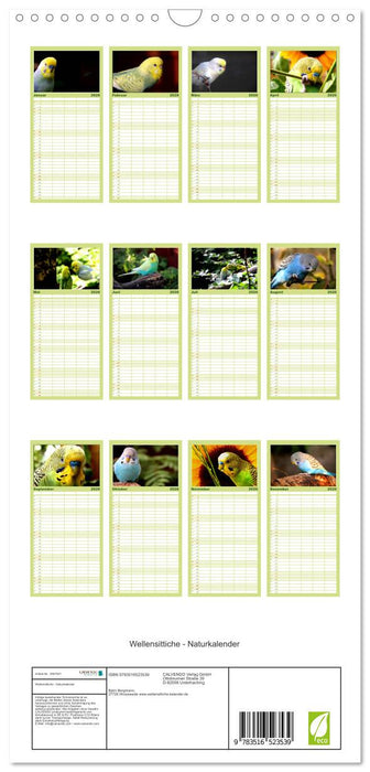 Wellensittiche - Naturkalender (CALVENDO Familienplaner 2026)