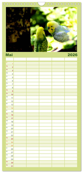 Wellensittiche - Naturkalender (CALVENDO Familienplaner 2026)