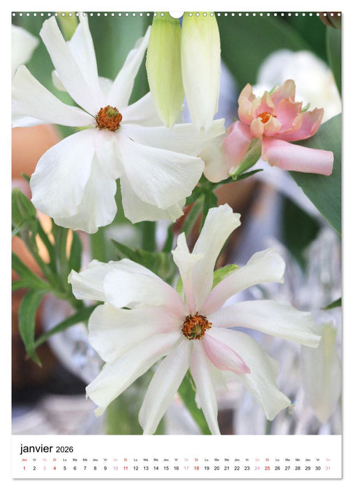 Joie avec des fleurs (CALVENDO Calendrier mensuel 2026)