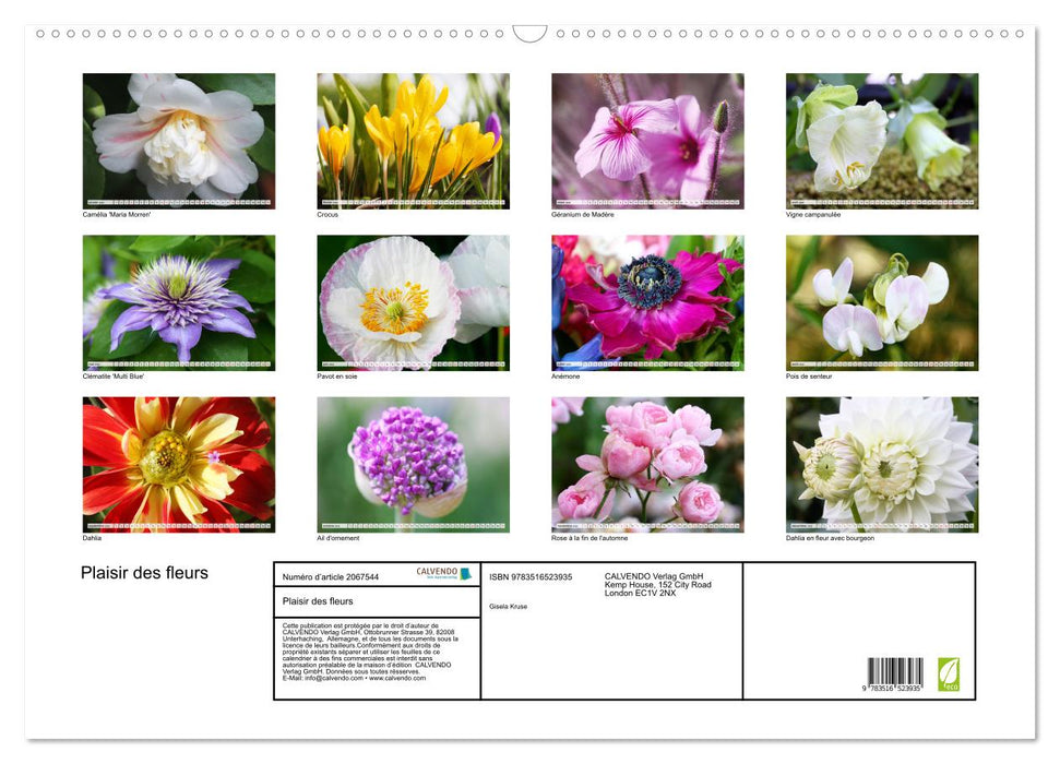 Plaisir des fleurs (CALVENDO Calendrier mensuel 2026)