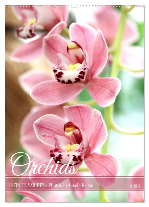 Orchids - Infinite Variety (CALVENDO Monthly Calendar 2026)