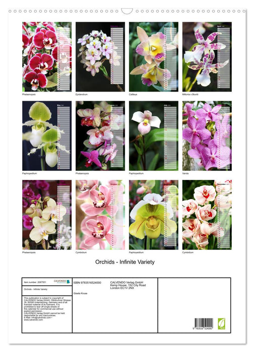 Orchids - Infinite Variety (CALVENDO Monthly Calendar 2026)