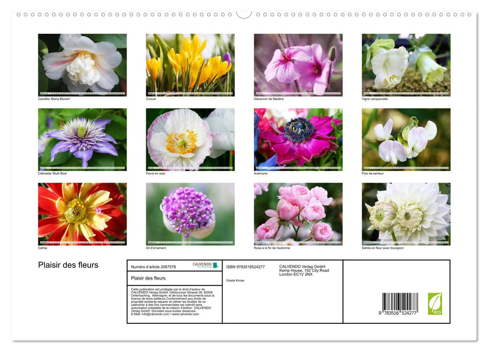 Plaisir des fleurs (CALVENDO Calendrier supérieur 2026)