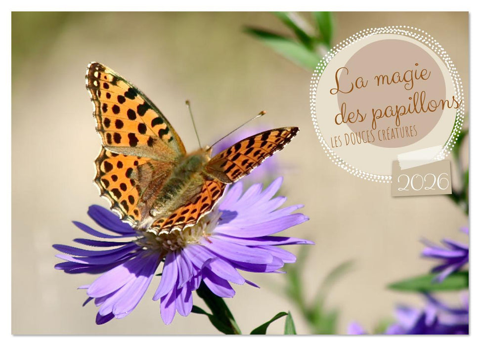 LA MAGIE DES PAPILLONS (CALVENDO Calendrier mensuel 2026)