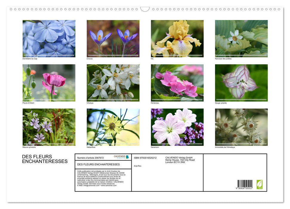 DES FLEURS ENCHANTERESSES (CALVENDO Calendrier mensuel 2026)
