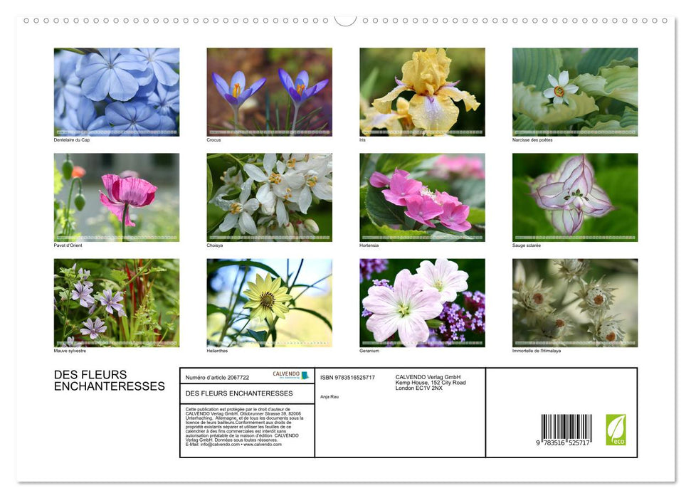 DES FLEURS ENCHANTERESSES (CALVENDO Calendrier supérieur 2026)