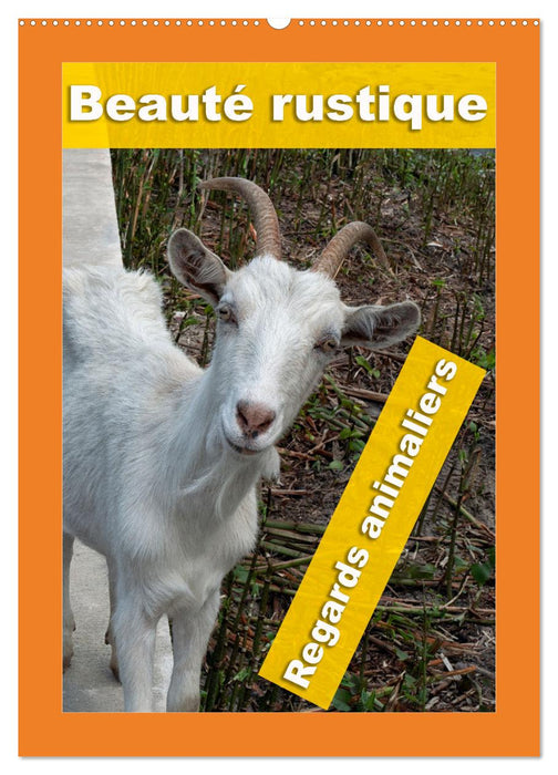 Beauté rustique Regards animaliers (CALVENDO Calendrier mensuel 2026)