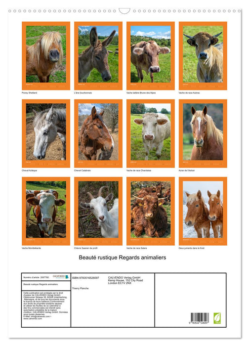Beauté rustique Regards animaliers (CALVENDO Calendrier mensuel 2026)