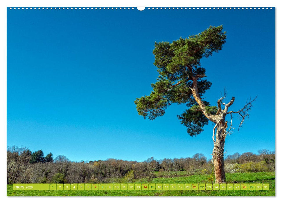 Solitude verdoyante (CALVENDO Calendrier supérieur 2026)