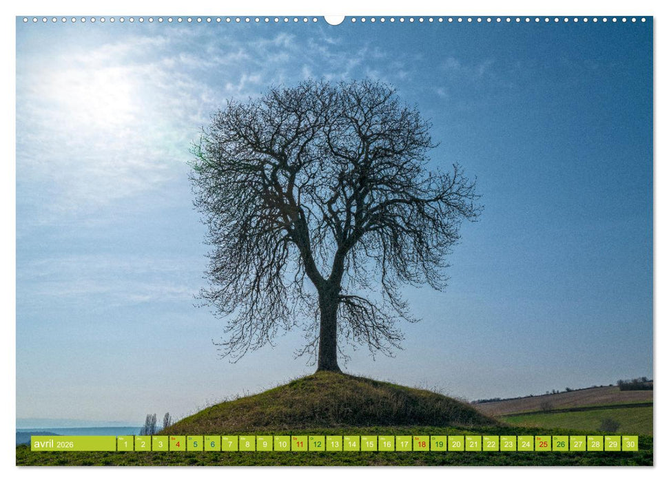 Solitude verdoyante (CALVENDO Calendrier supérieur 2026)