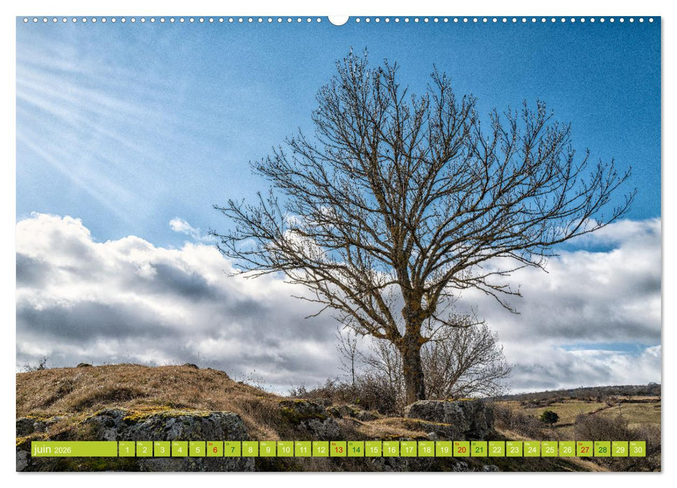 Solitude verdoyante (CALVENDO Calendrier supérieur 2026)