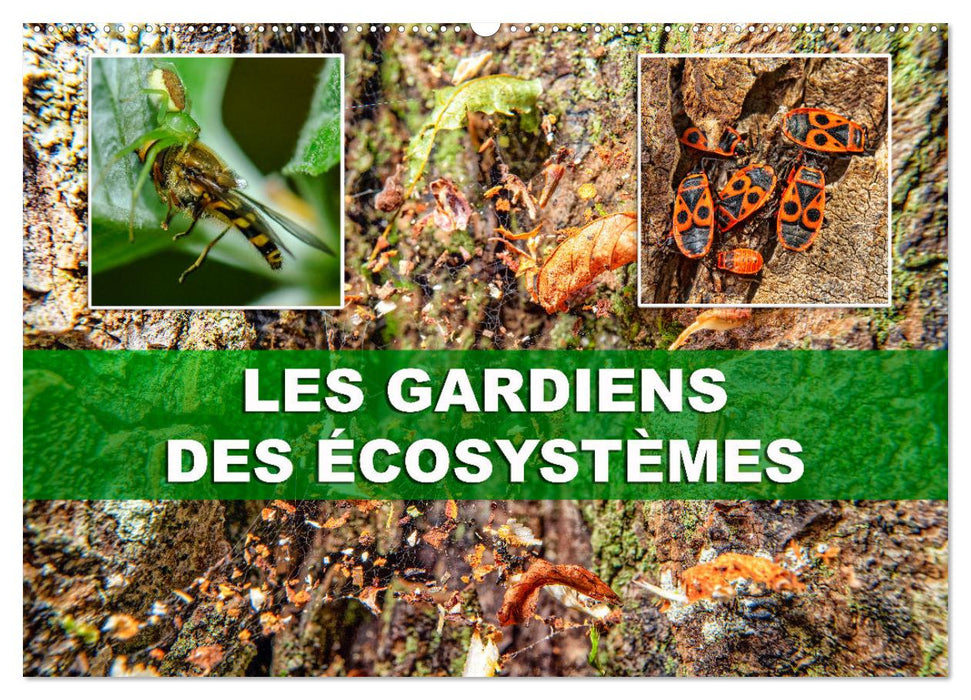 Les gardiens des écosystèmes (CALVENDO Calendrier mensuel 2026)