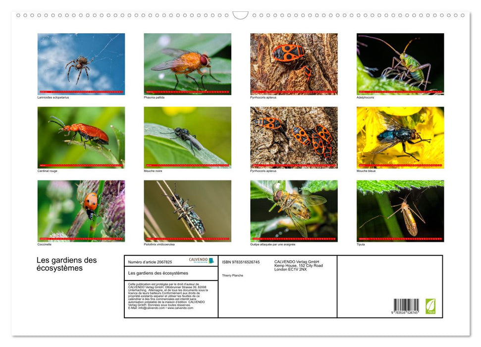 Les gardiens des écosystèmes (CALVENDO Calendrier mensuel 2026)