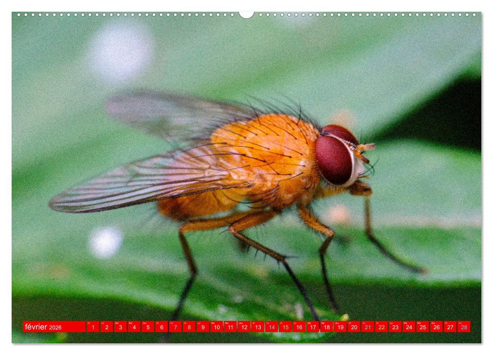 Les gardiens des écosystèmes (CALVENDO Calendrier mensuel 2026)