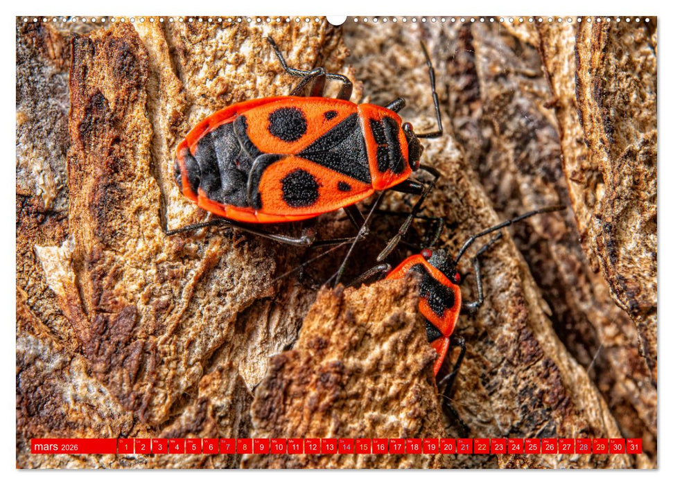 Les gardiens des écosystèmes (CALVENDO Calendrier mensuel 2026)