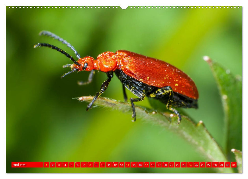 Les gardiens des écosystèmes (CALVENDO Calendrier mensuel 2026)
