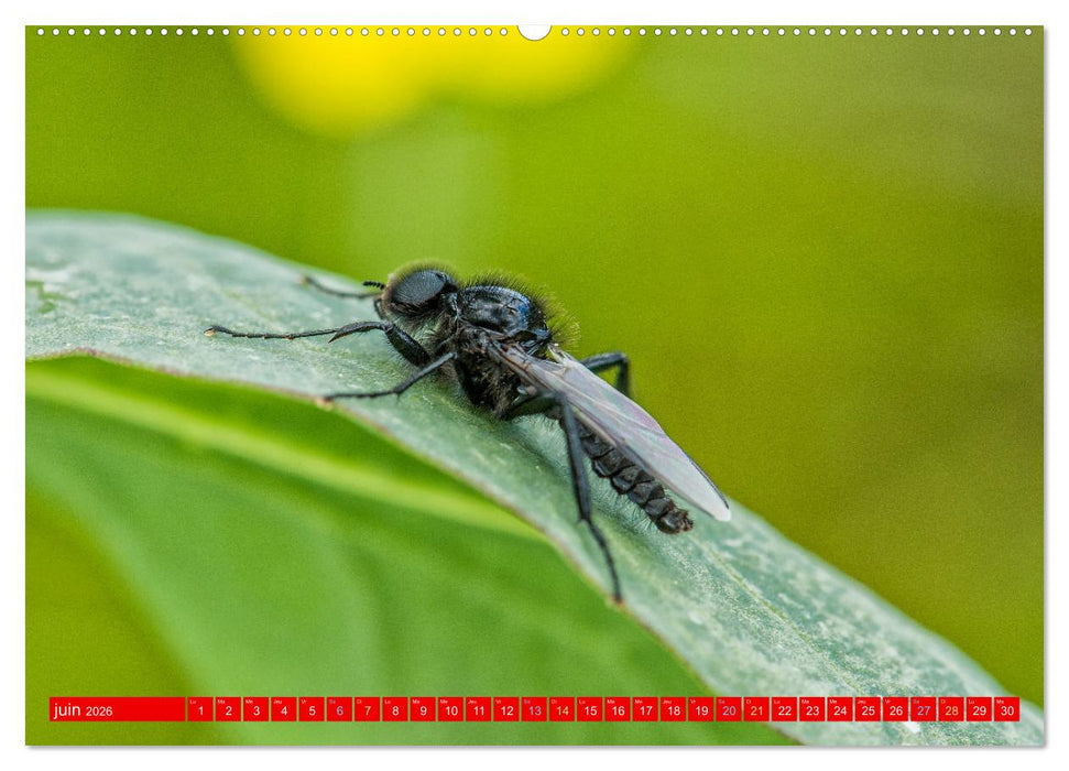 Les gardiens des écosystèmes (CALVENDO Calendrier mensuel 2026)