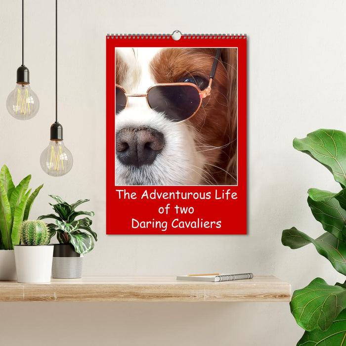 The Adventurous Life of two Daring Cavaliers (CALVENDO Monthly Calendar 2026)