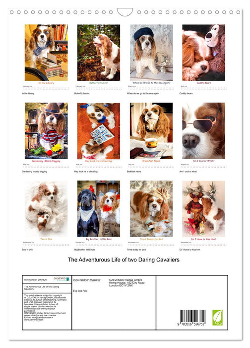 The Adventurous Life of two Daring Cavaliers (CALVENDO Monthly Calendar 2026)