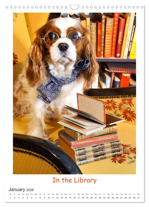 The Adventurous Life of two Daring Cavaliers (CALVENDO Monthly Calendar 2026)