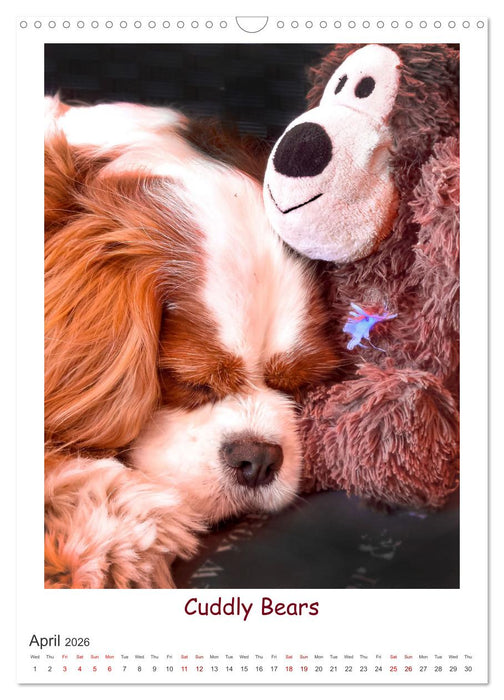 The Adventurous Life of two Daring Cavaliers (CALVENDO Monthly Calendar 2026)