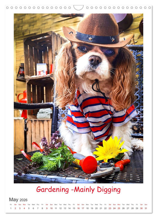 The Adventurous Life of two Daring Cavaliers (CALVENDO Monthly Calendar 2026)