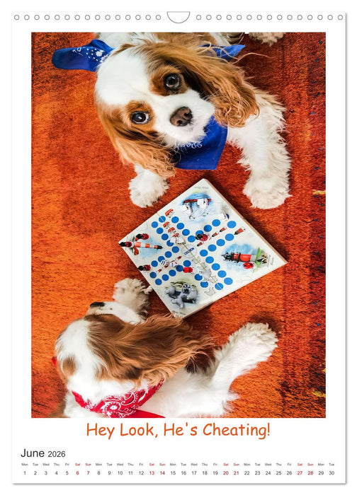 The Adventurous Life of two Daring Cavaliers (CALVENDO Monthly Calendar 2026)