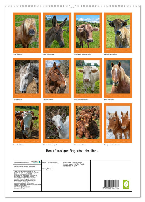 Beauté rustique Regards animaliers (CALVENDO Calendrier supérieur 2026)