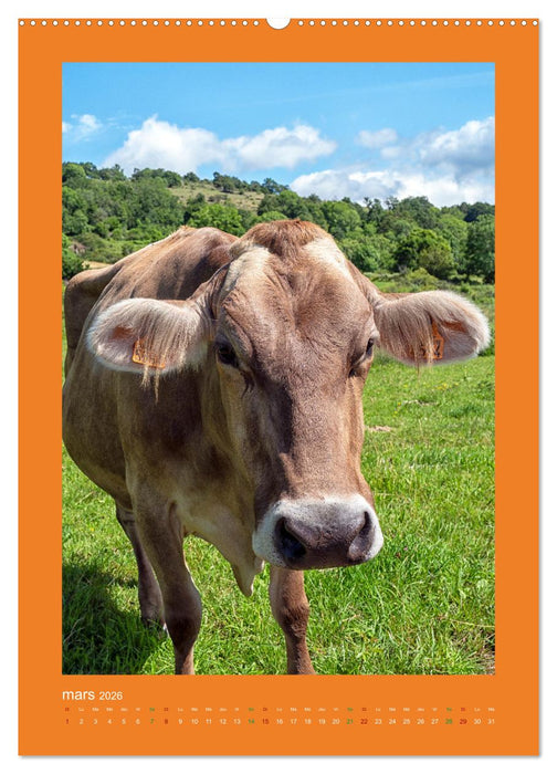 Beauté rustique Regards animaliers (CALVENDO Calendrier supérieur 2026)