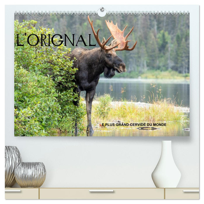 L'ORIGNAL, LE PLUS GRAND CERVIDÉ DU MONDE (CALVENDO Calendrier supérieur 2026)