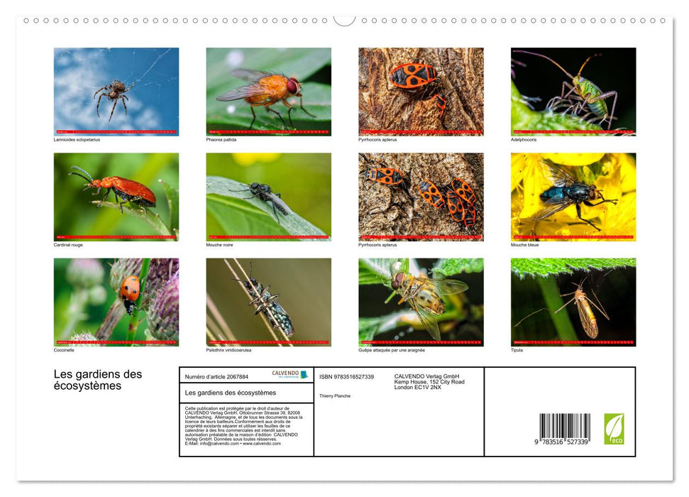 Les gardiens des écosystèmes (CALVENDO Calendrier supérieur 2026)
